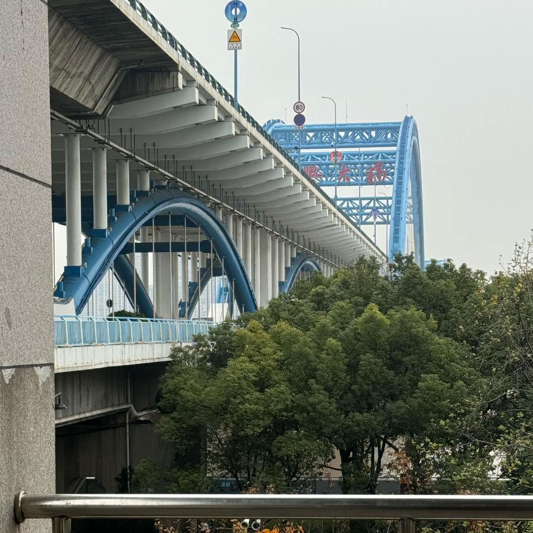 钱江一桥电动车车主