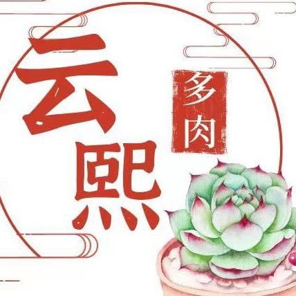 云熙多肉