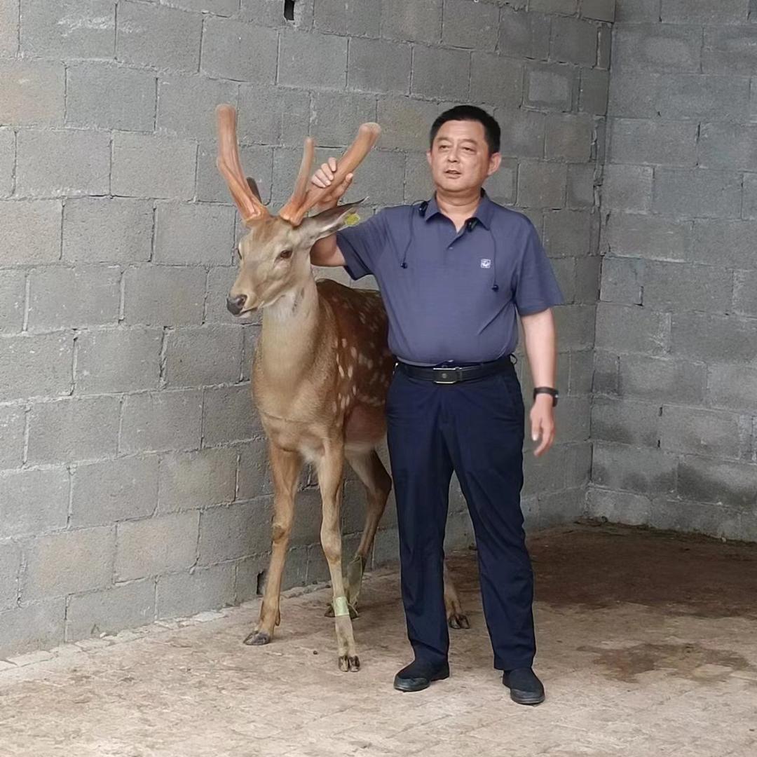 清水村支书陈保君