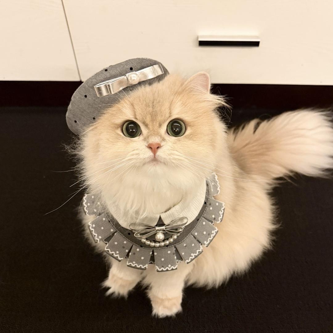 开心玉米排骨汤🫧