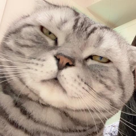 面瘫安东尼@抖音