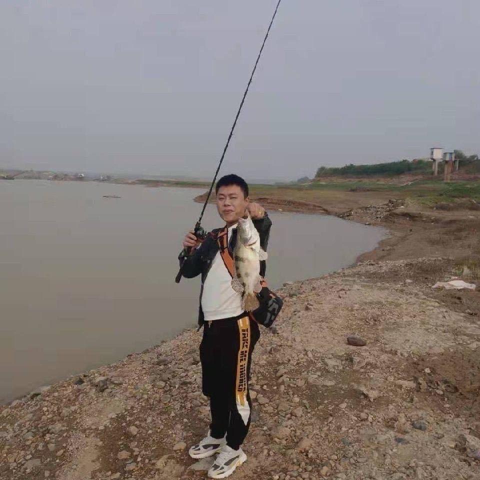 丛林-(波波)