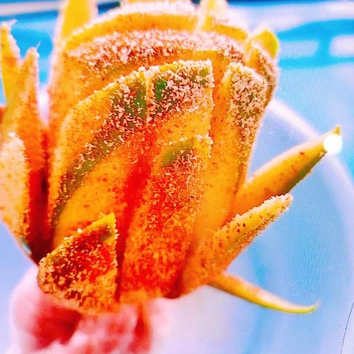 钟山水果酸嘢