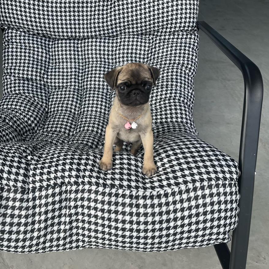 小8⃣️的成长日记📔