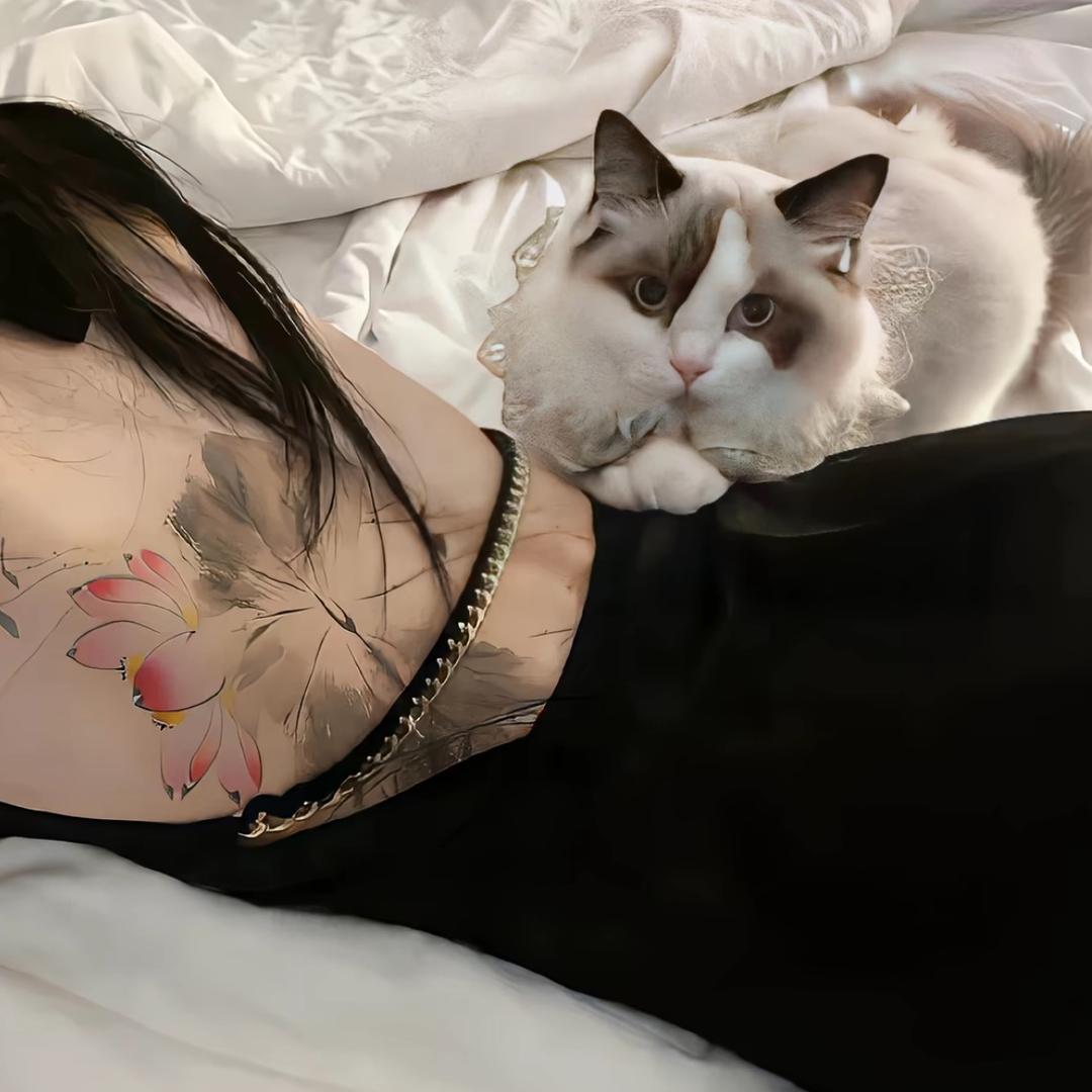 ㅤㅤㅤ没你的晚安.