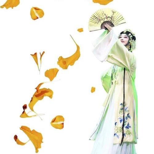 且听风吟【伴·唱】