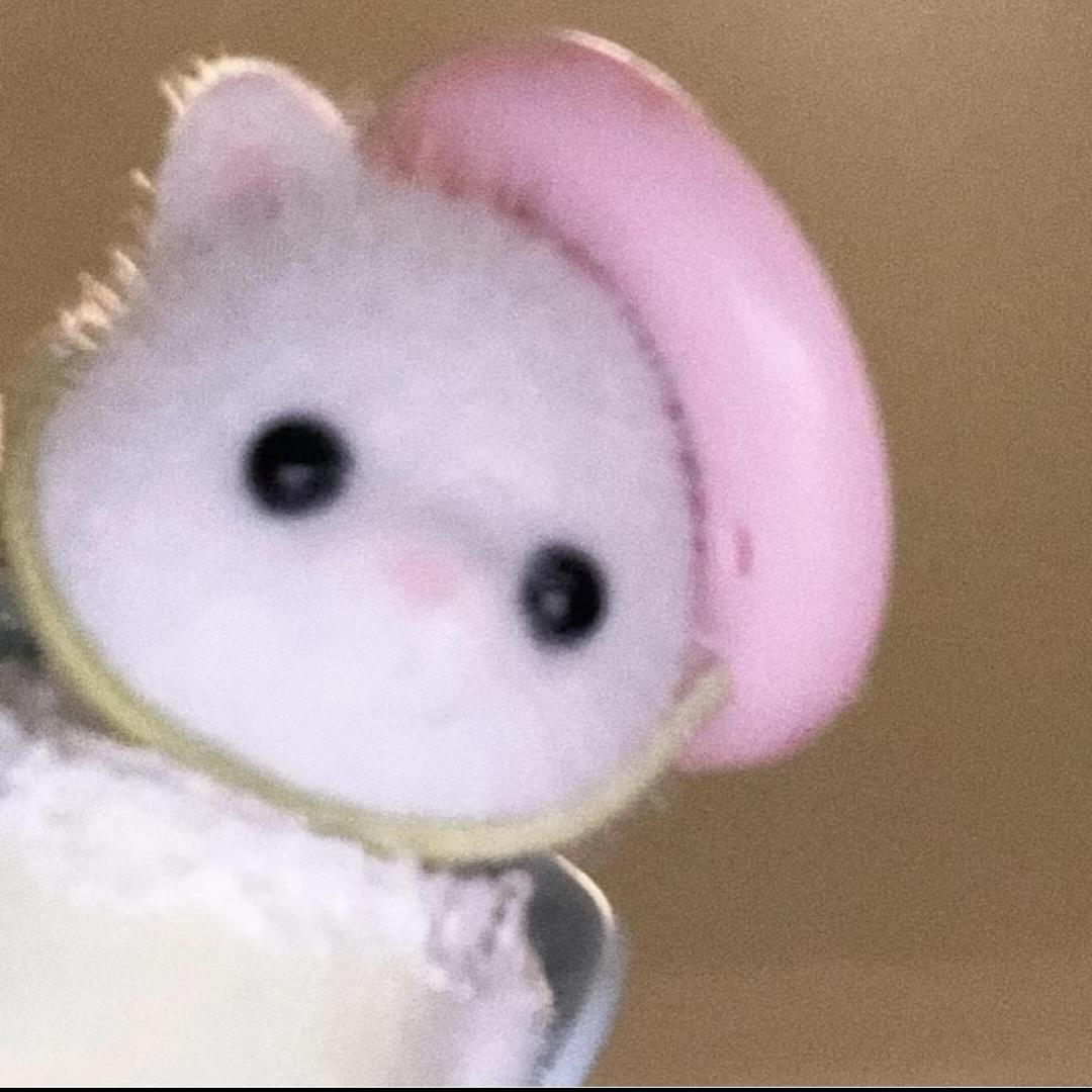 什么诺