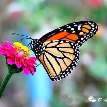 楼老师