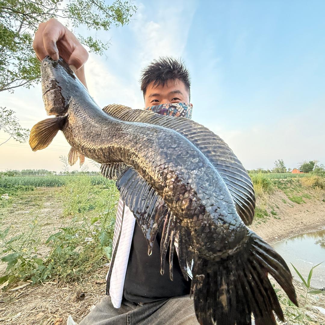 安徽寻雷队🎣路仙人