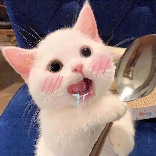 是阿彤呀🍉