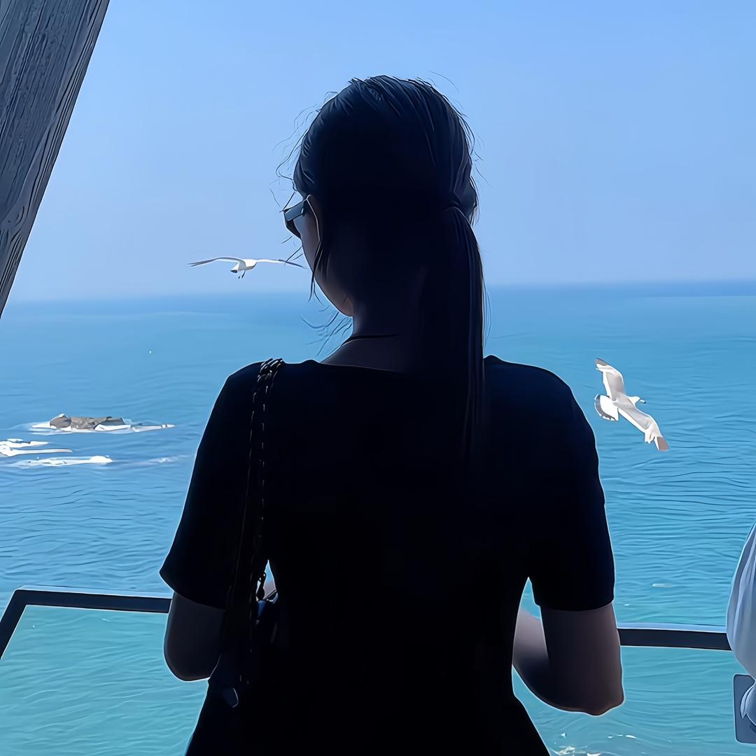 搬砖公主.