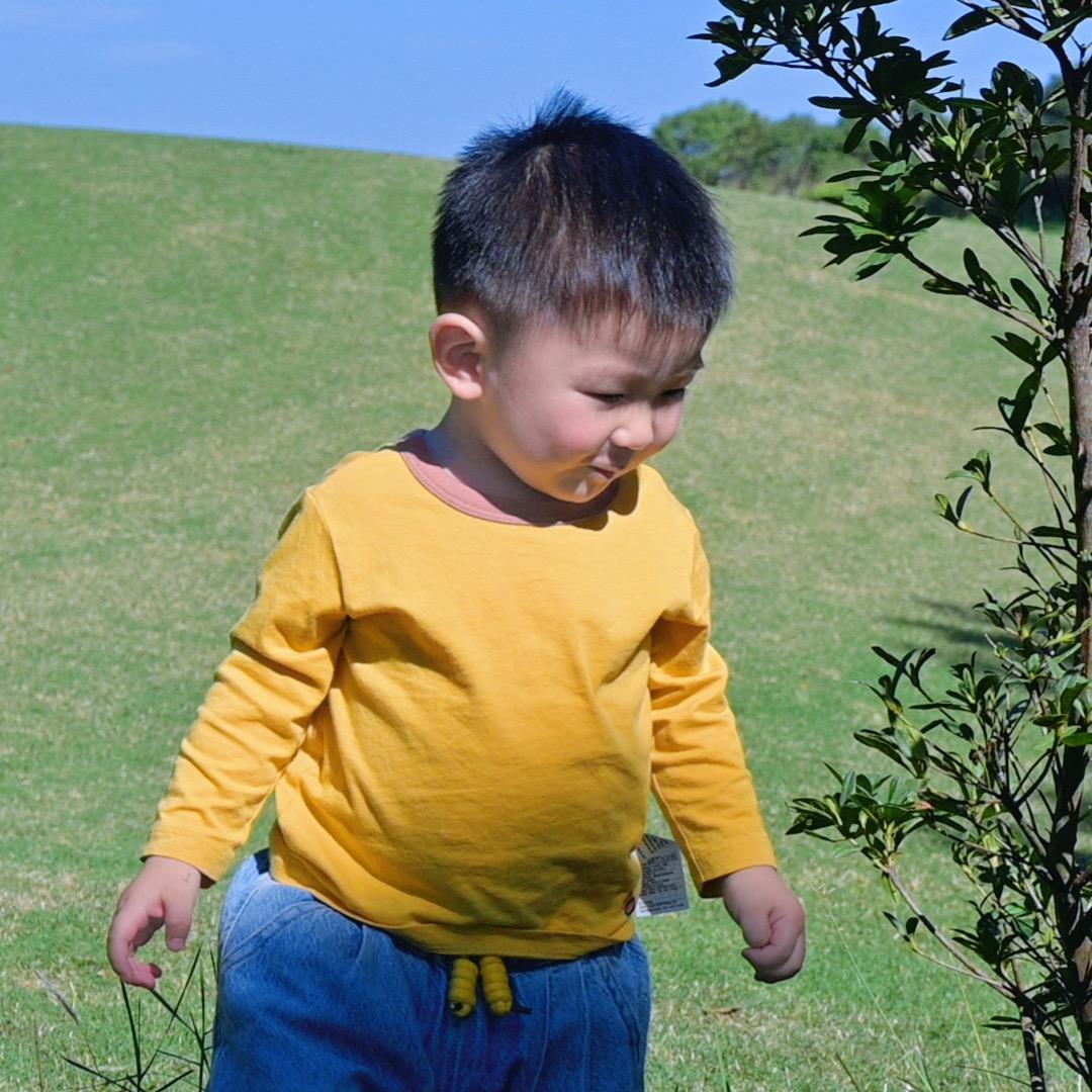 黄噔噔