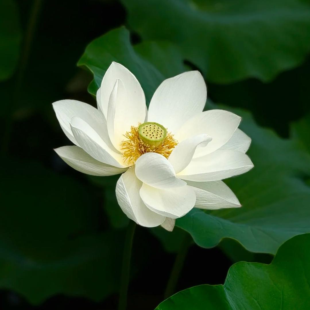 0427