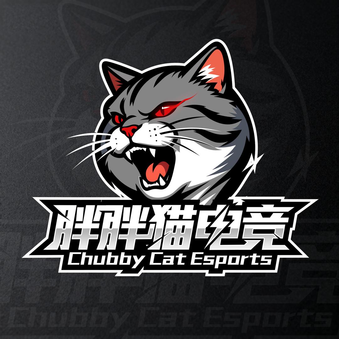 胖胖猫电竞(缺pc猛男)