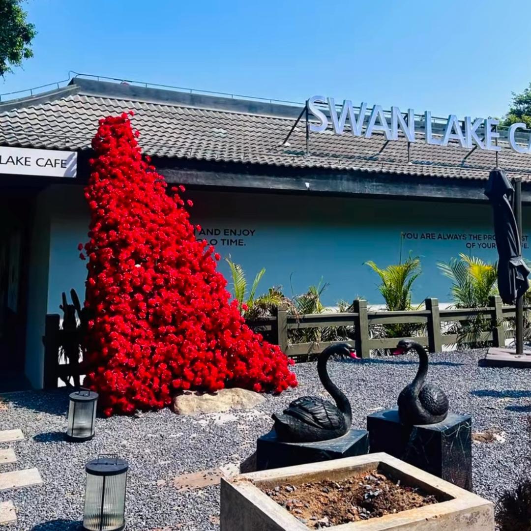凯诺梦露邻居