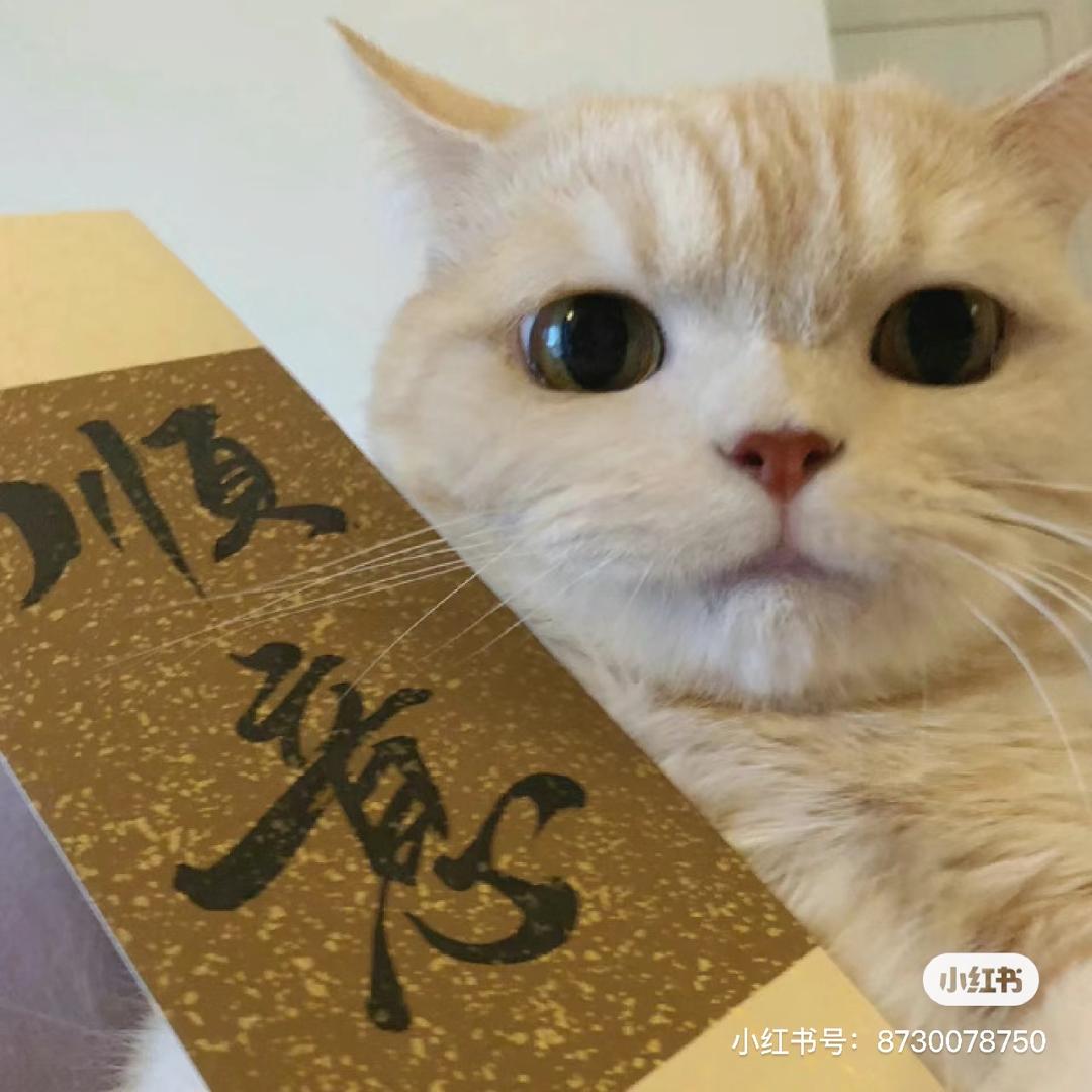 试着看