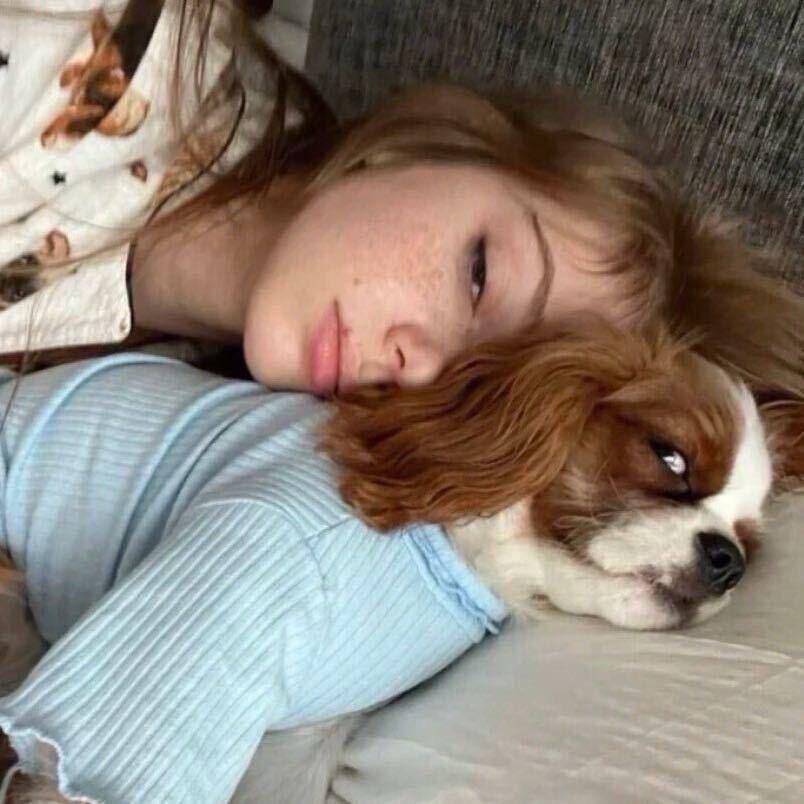 看我、暴击狗狗！