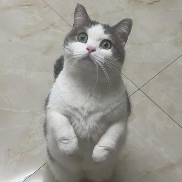 汝
