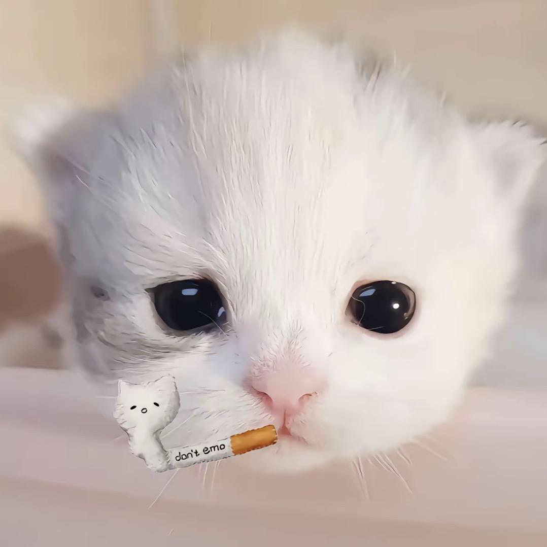 nnnn