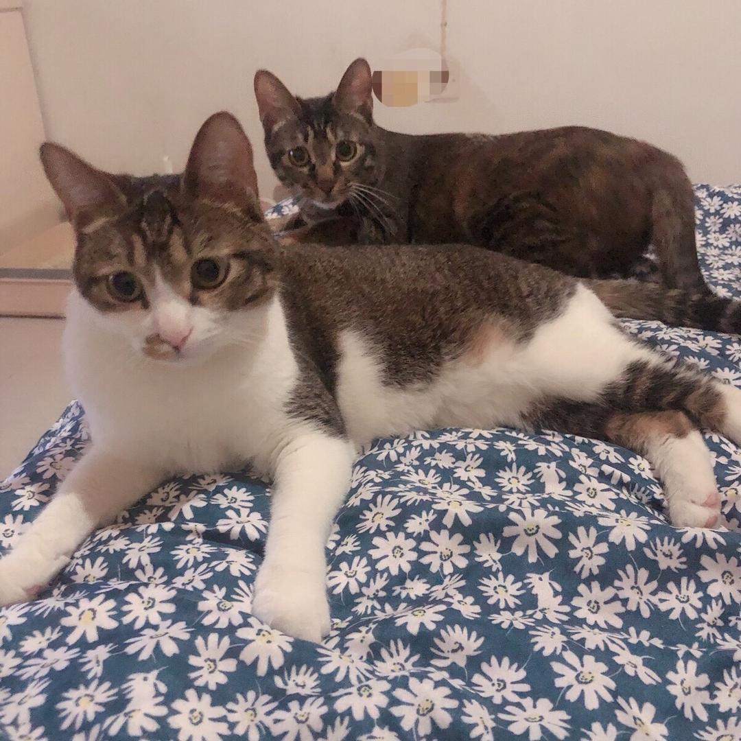 是佳宝呀💗头像