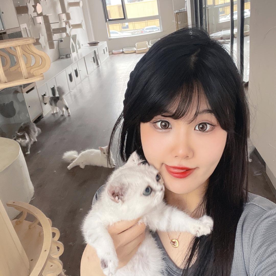 记忆中的变奏曲