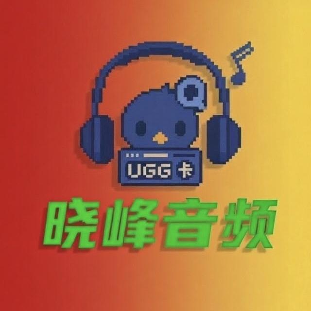 晓峰音频数码店