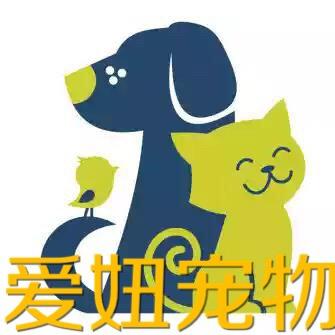 A New Pet Shop (07爱妞宠物)