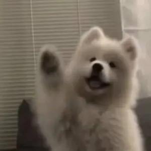 讨厌小麦果汁
