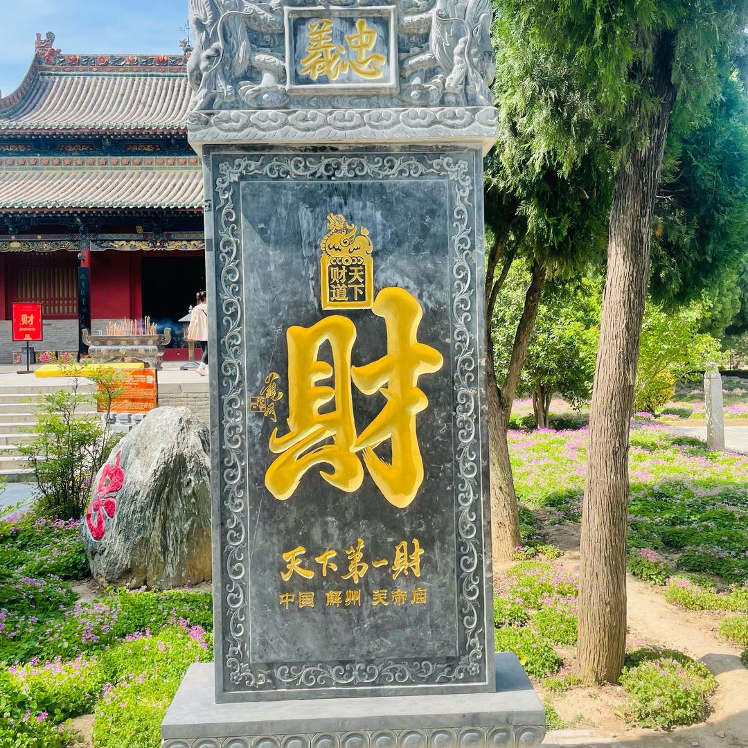 户外杨大