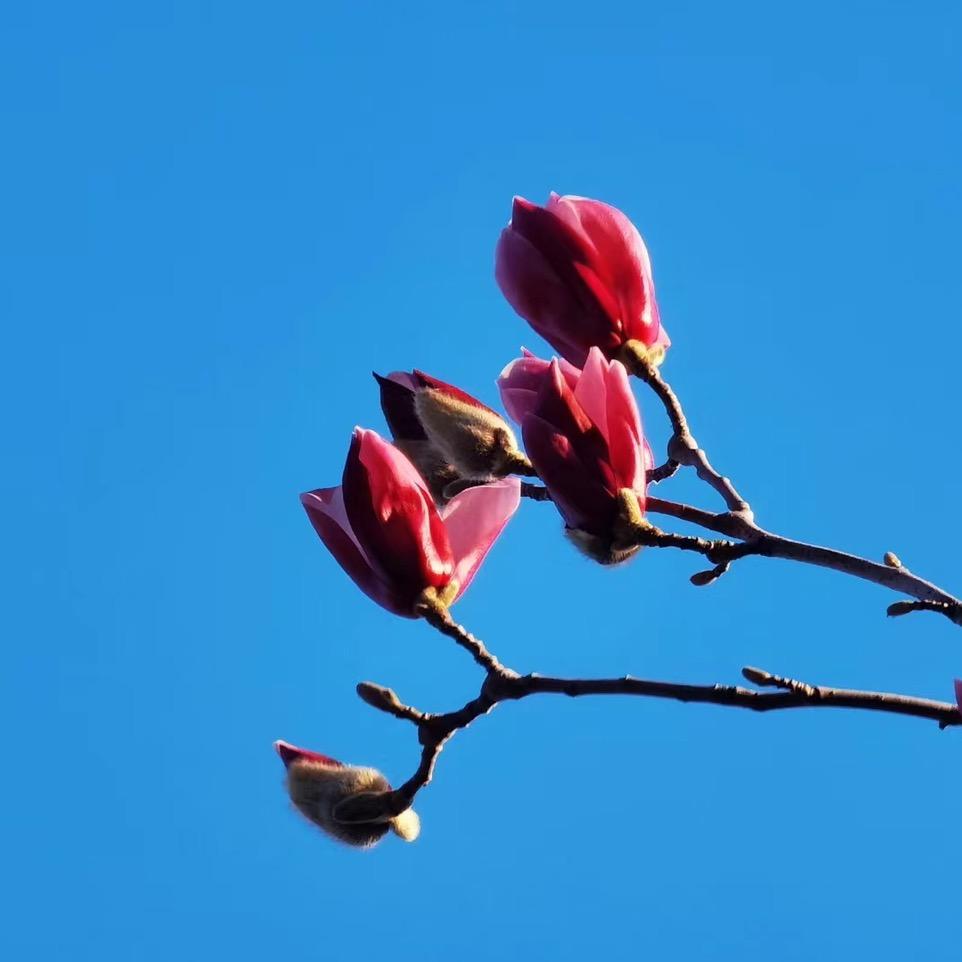 @晓晓