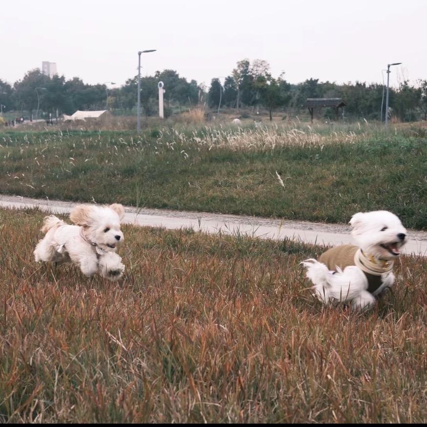 隔壁网友小刘欢乐冲浪🏄