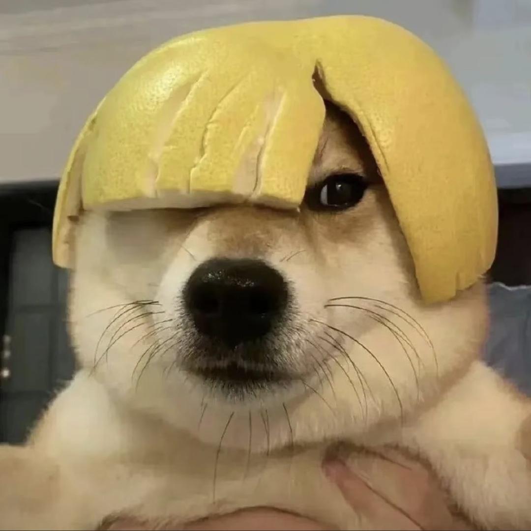 一坨天