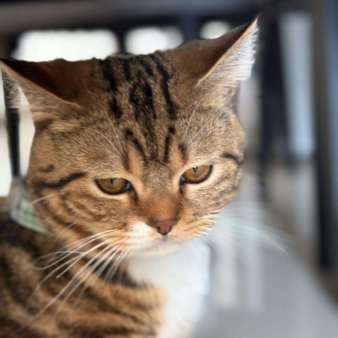 我滴好大儿👻¹⁰³¹