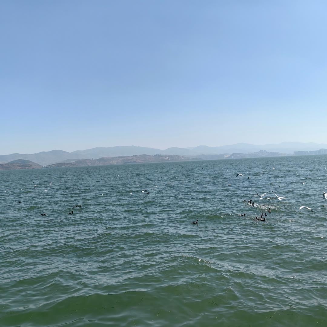 尔滨烧烤—寺头家园店