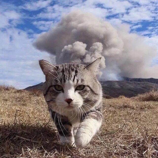 7788