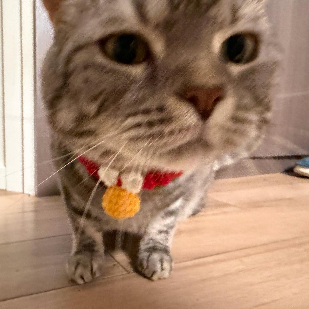 最美人妻壮壮妈