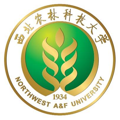 西农甄选