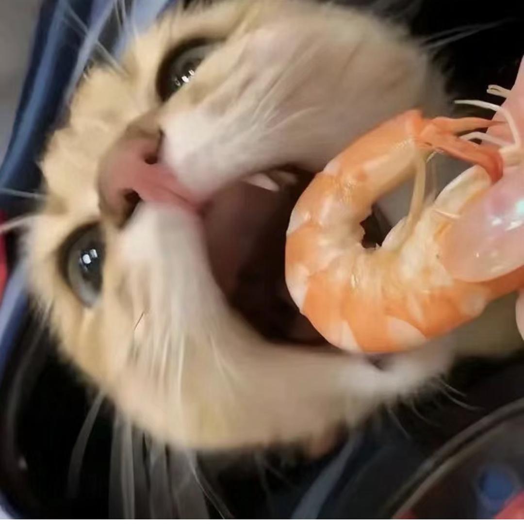 饱饱会发发