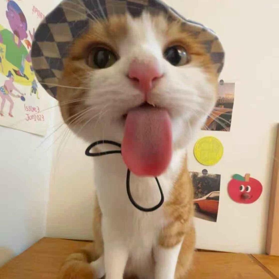 超级爱学习