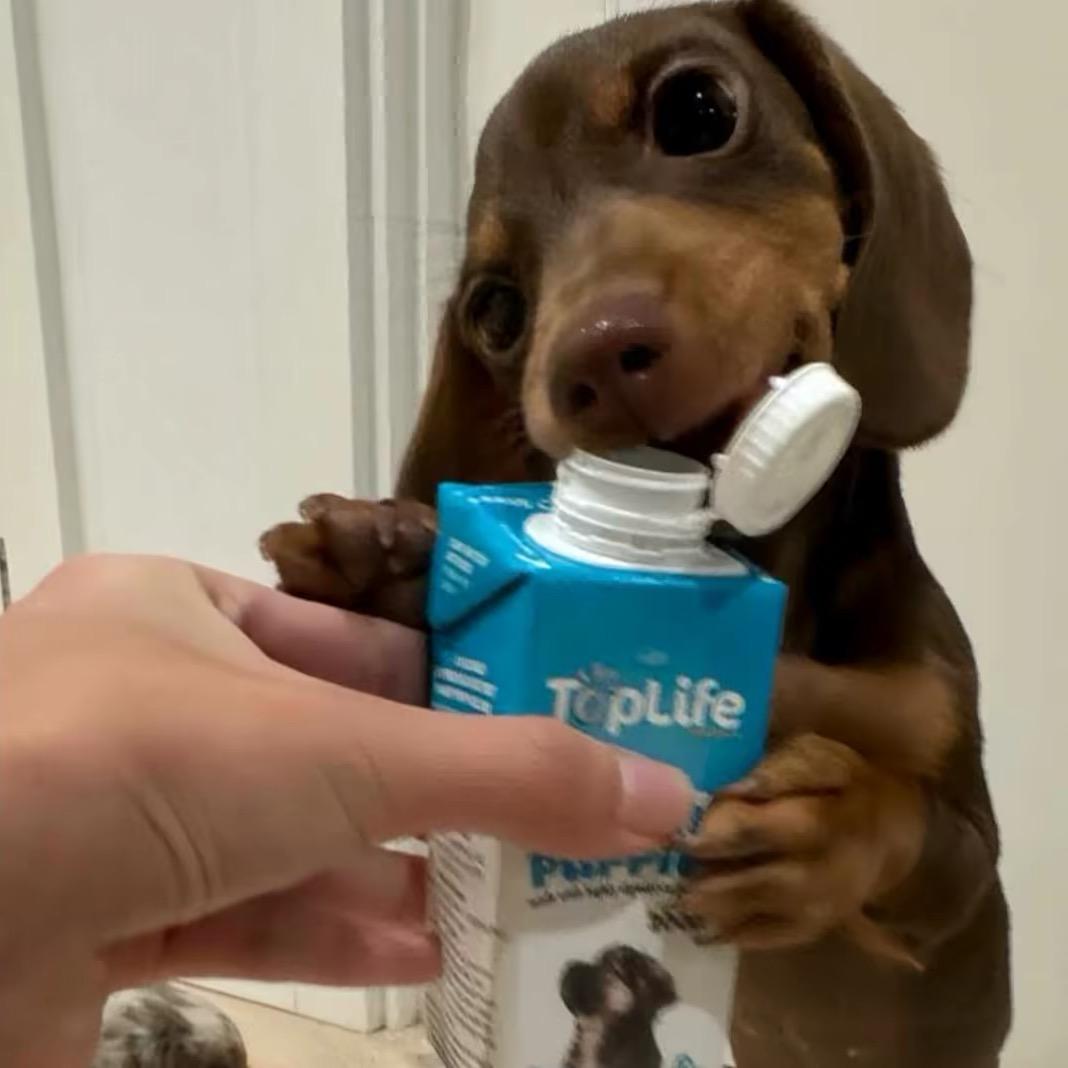 不要熬夜好不好