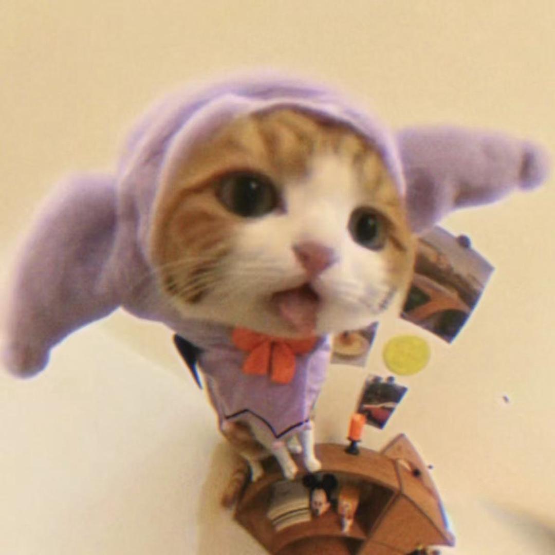 小蛋