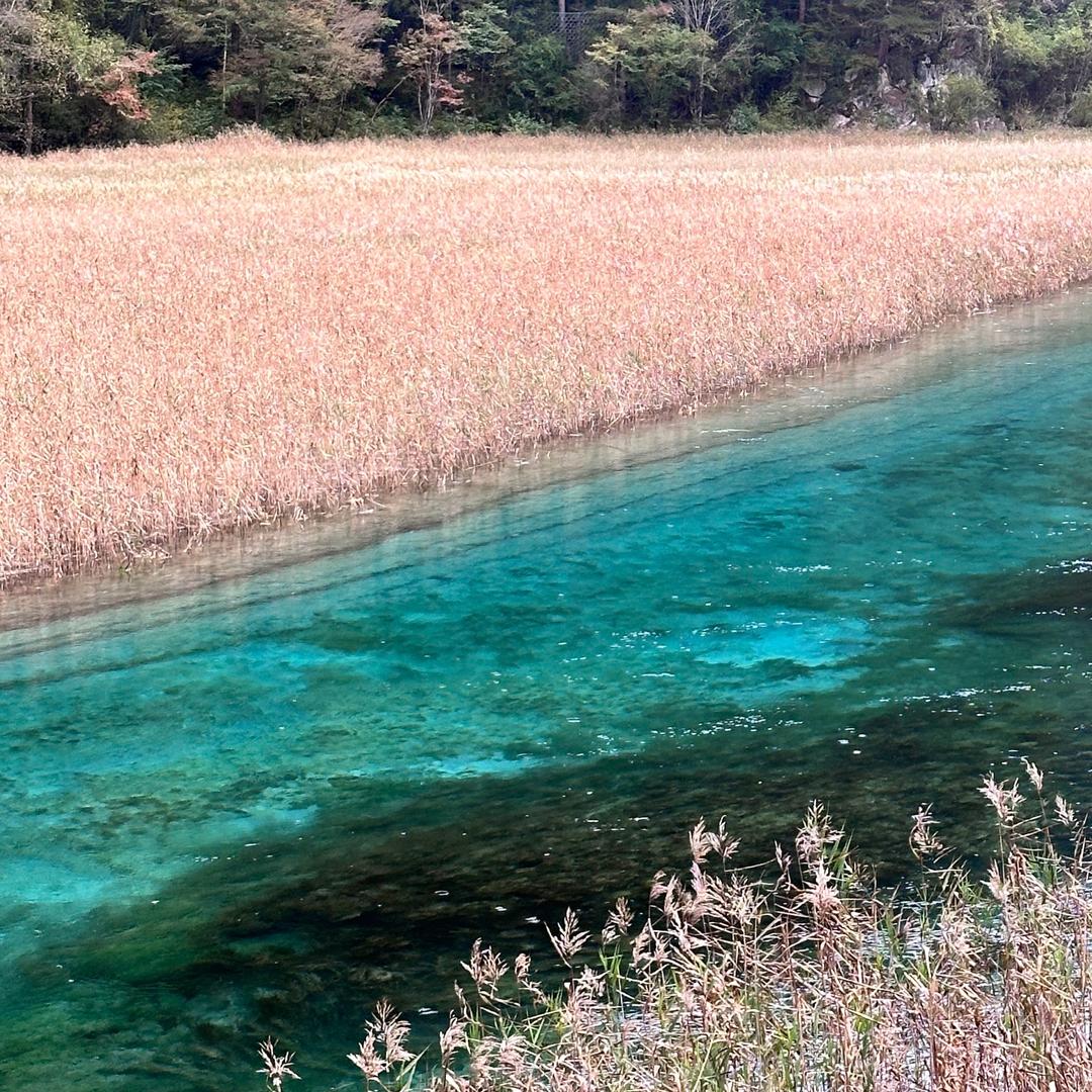 时栖科技客服运营小河