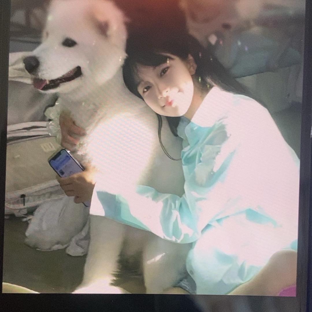 小卷心菜