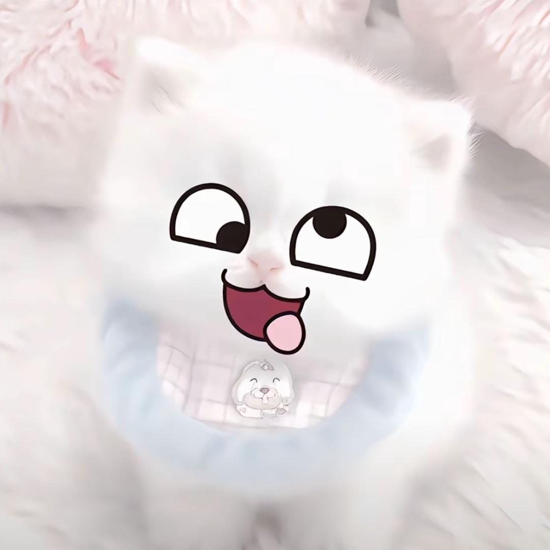 Oooi