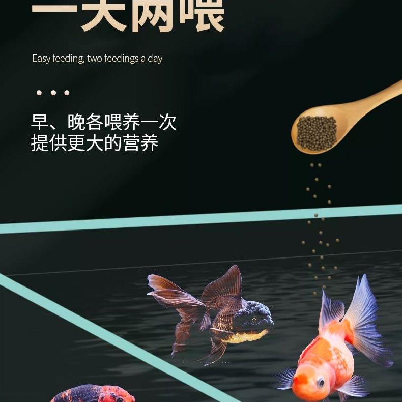 龙斌锦鲤精选