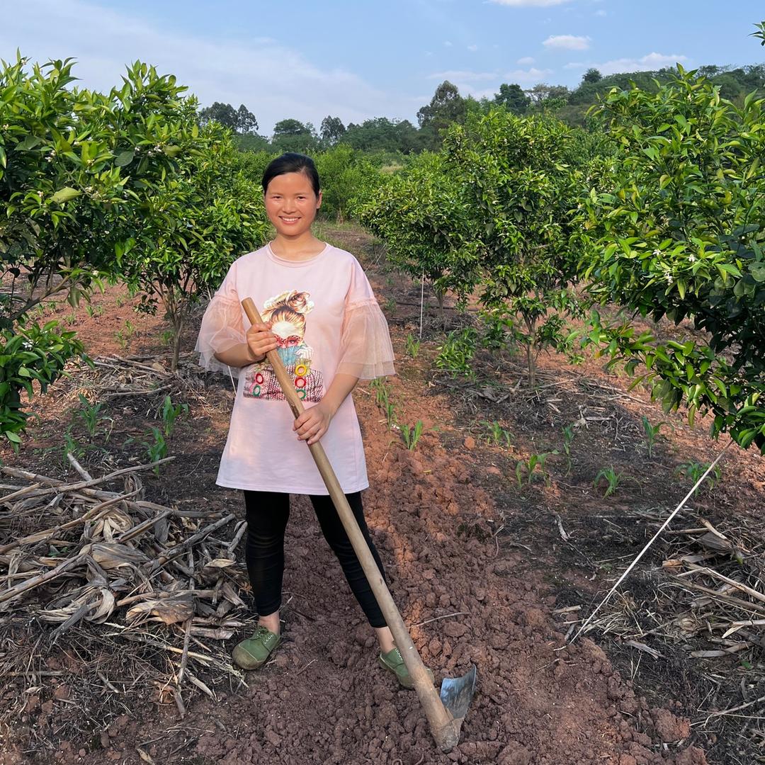 飞飞很努力《视频小号更新中》