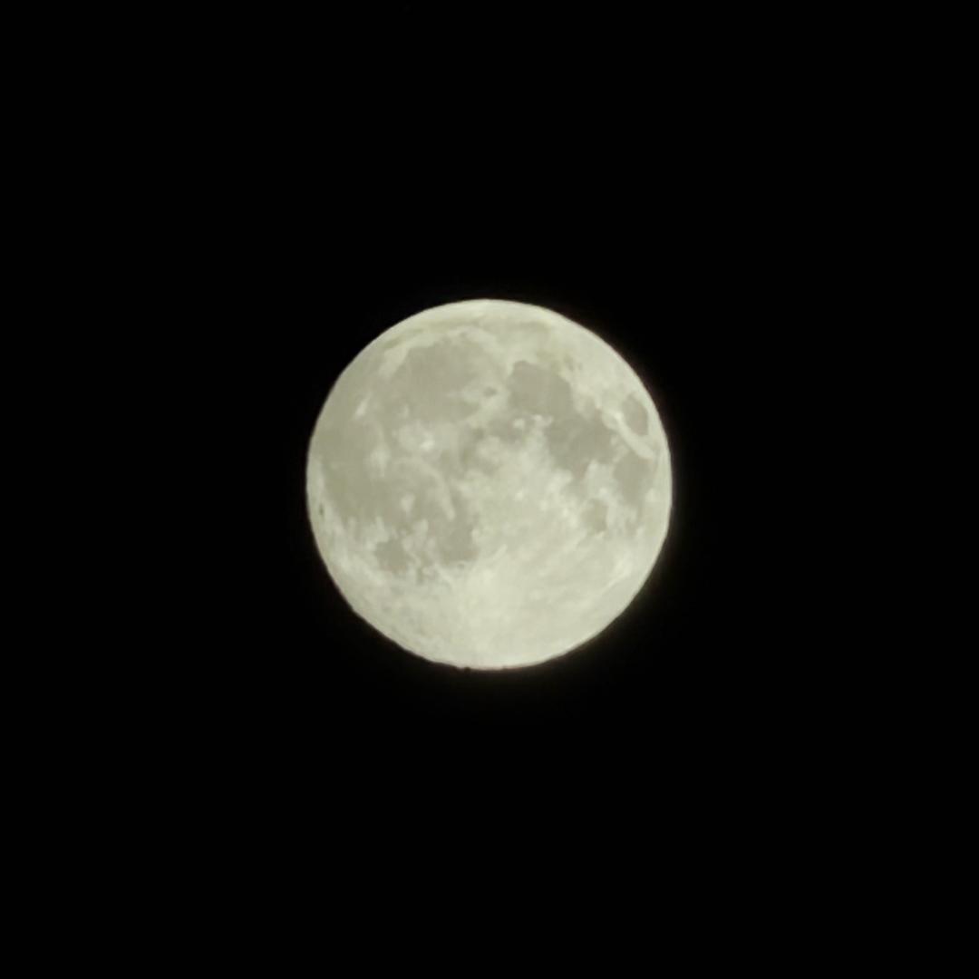 追光者(守护中)