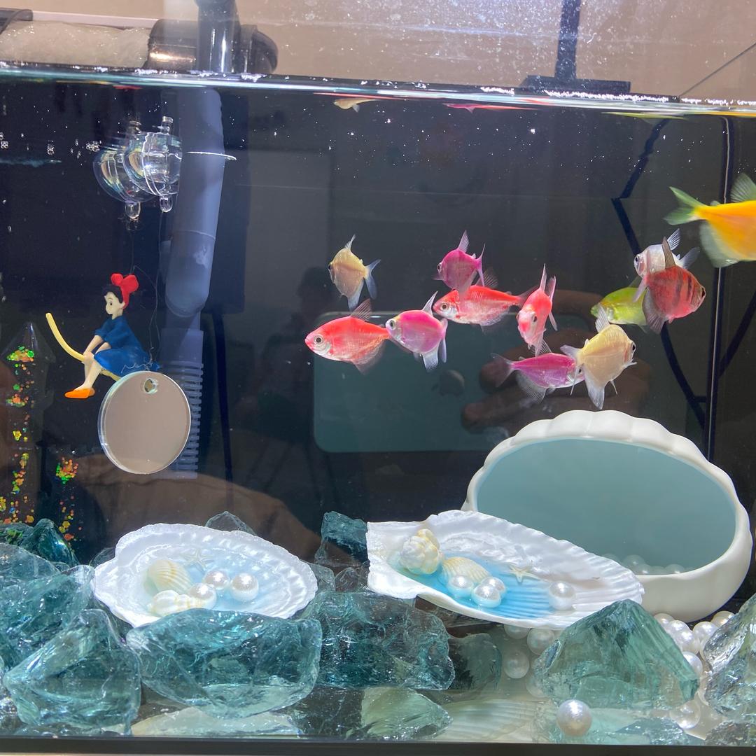 笔墨少年(城南花园分校)官方号