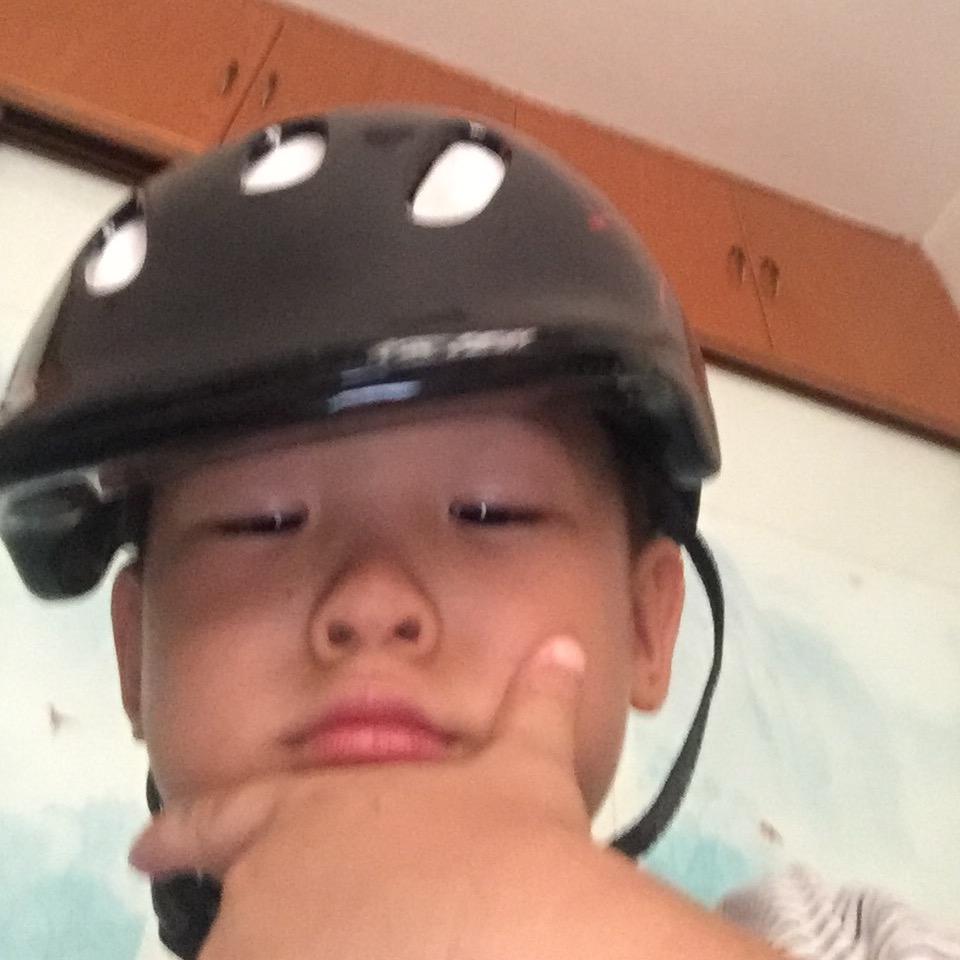 蔷薇花