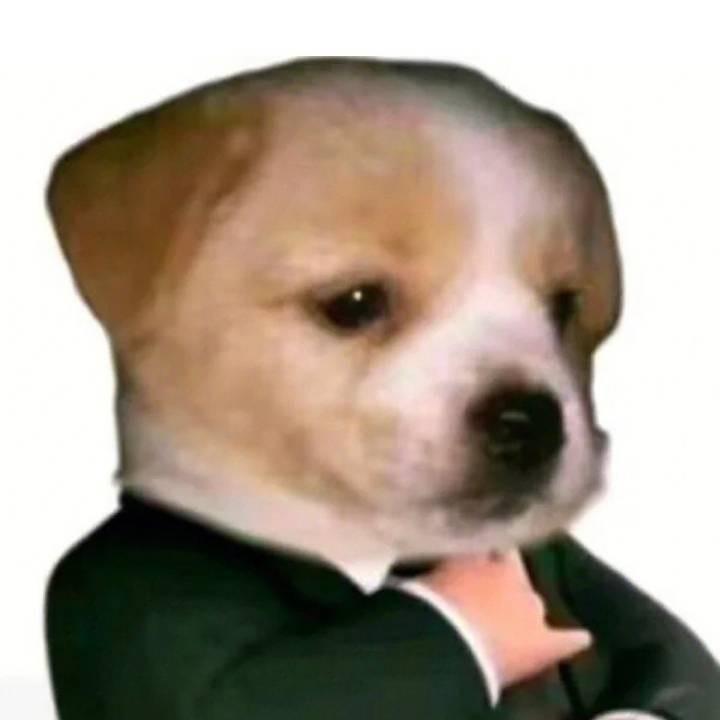 贰十